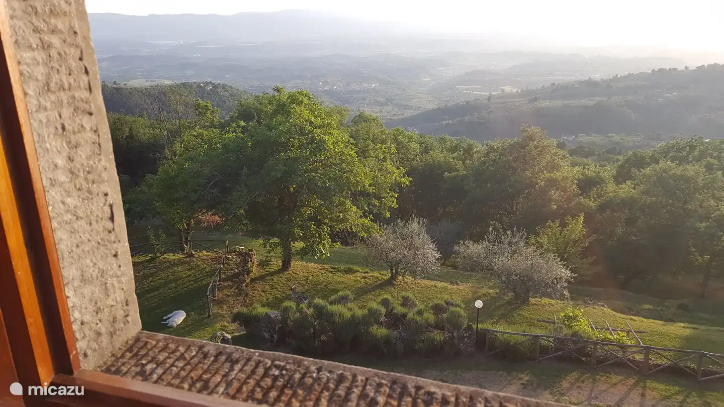 La vue de la fenêtre sur le domaine