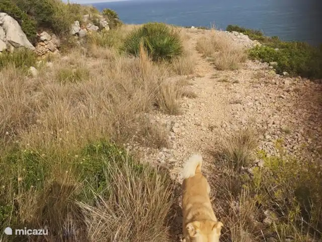 Péniscola de Port Nou | Espagne, Costa del Azahar, Peñiscola - maison mitoyenne