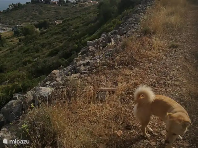 Péniscola de Port Nou | Espagne, Costa del Azahar, Peñiscola - maison mitoyenne