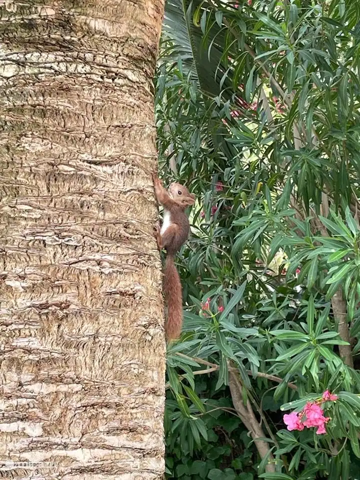 Täglicher Besuch im Schwimmbad.