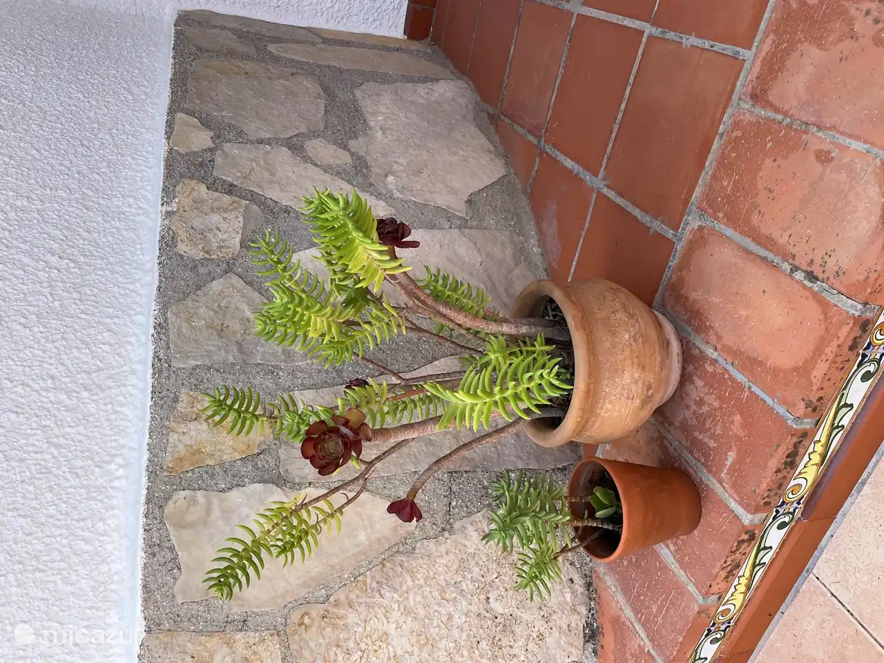 Die Terrasse ist ansprechend mit Pflanztöpfen geschmückt