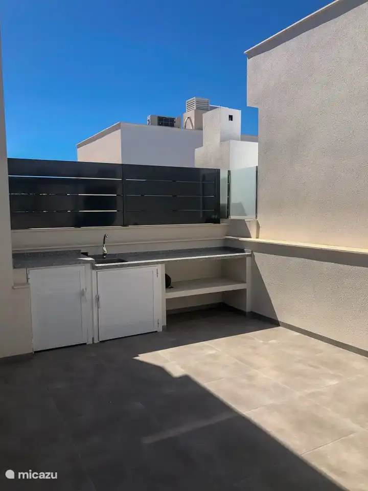 Schöne Außenküche mit Kühlschrank, Spüle und elektrischem Kochfeld.