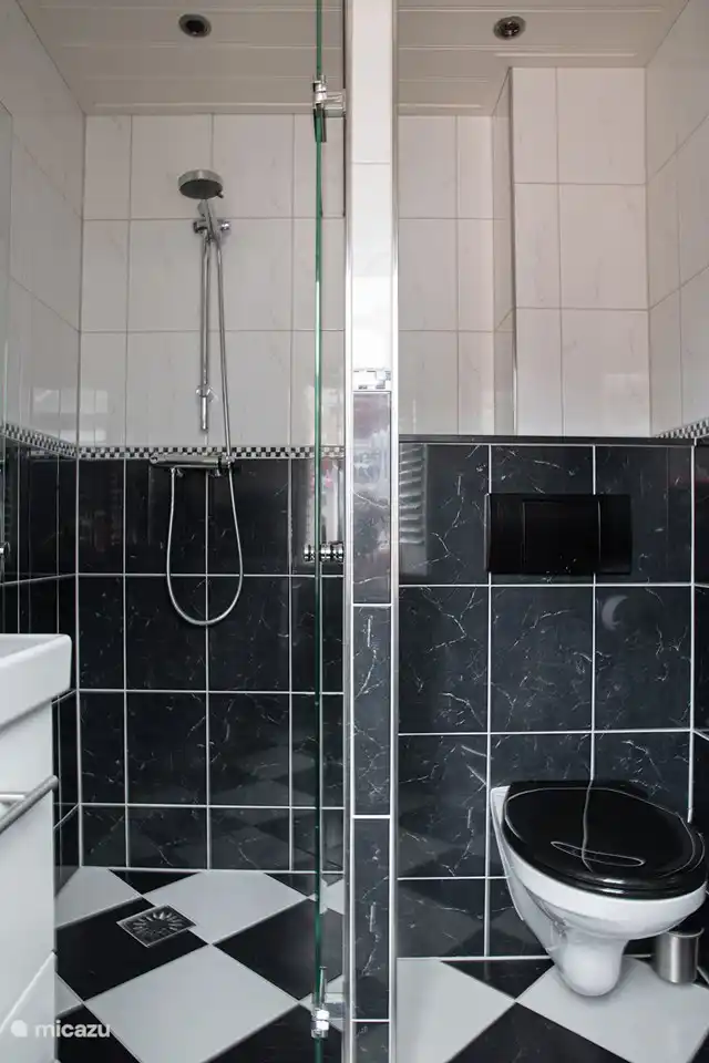 Walk-in shower and toilet main residence.