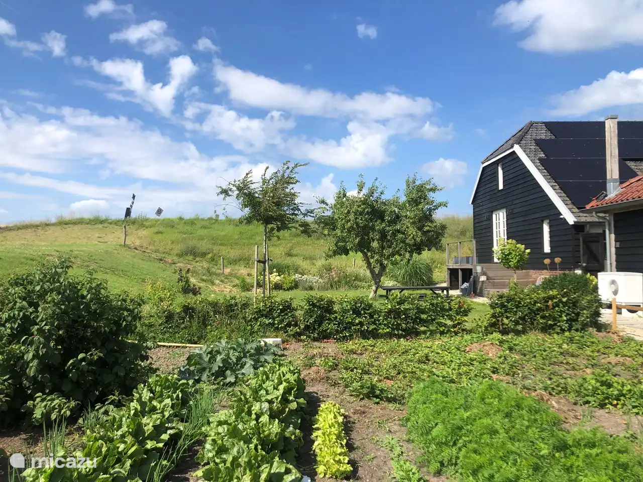 De dijk tussen fort Everdingen en fort Werk aan het Spoel