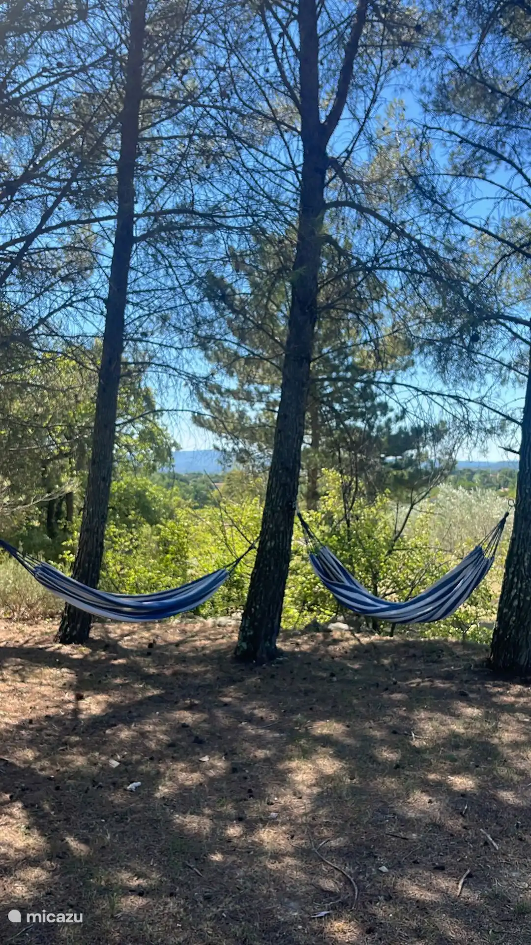 Schöne Hängematten 