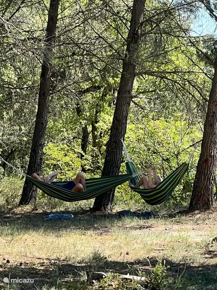 Entspannen Sie sich in den Hängematten mit Blick auf den Olivenhain