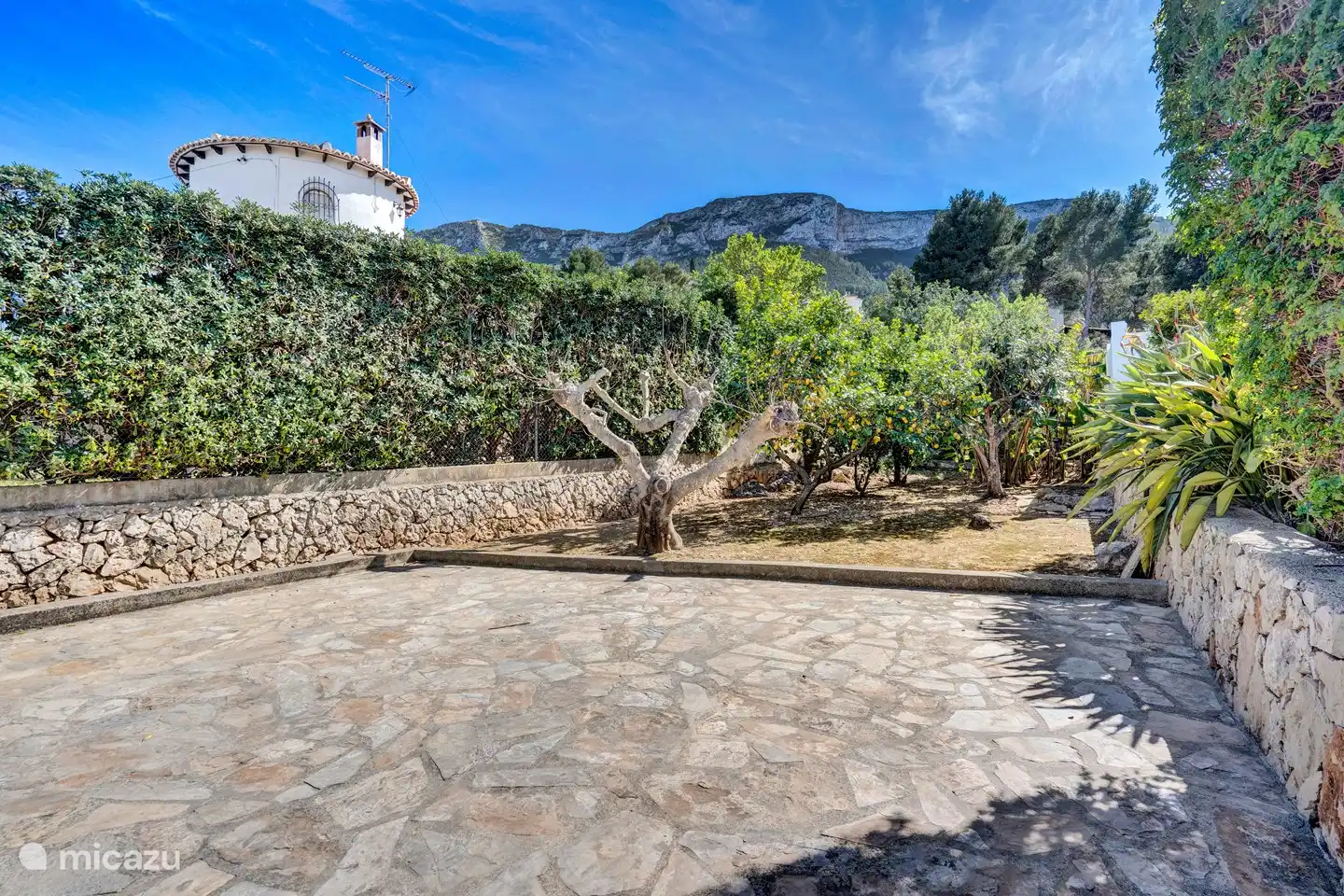 Le verger de Casa Joya avec des citrons, des figues, des oranges et des bananes. Et le célèbre nispero.