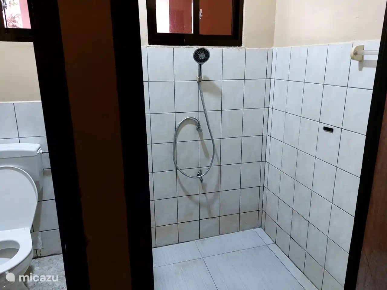 Toilet and shower area
