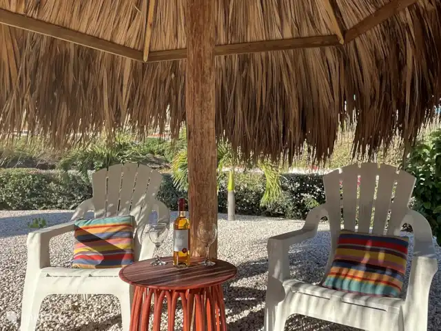 Casa C24 avec piscine privée | Curaçao, Banda Abou (ouest), Fontein - villa Profitez d'une boisson fraîche sous le parasol nouvellement construit.