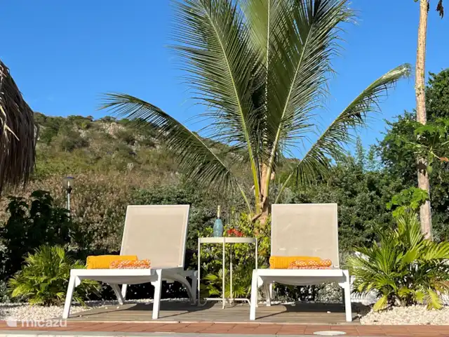 Casa C24 avec piscine privée | Curaçao, Banda Abou (ouest), Fontein - villa Profitez du soleil sur les différentes terrasses du jardin.