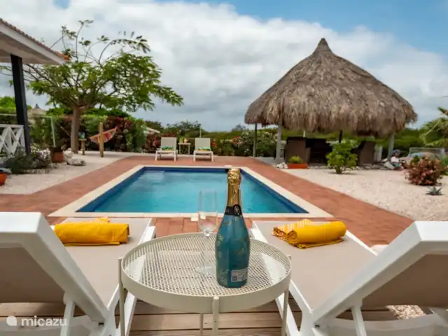 Casa C24 avec piscine privée | Curaçao, Banda Abou (ouest), Fontein - villa Vue sur la piscine, palapa et hamac.
