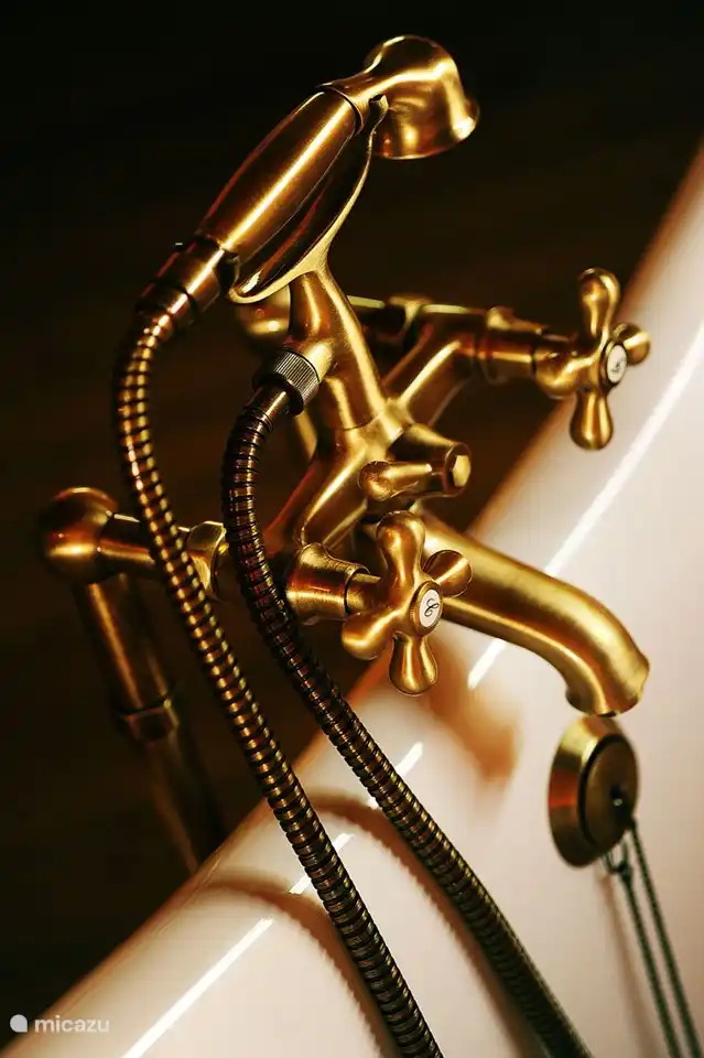 Bronzehähne am Bad auf Beinen