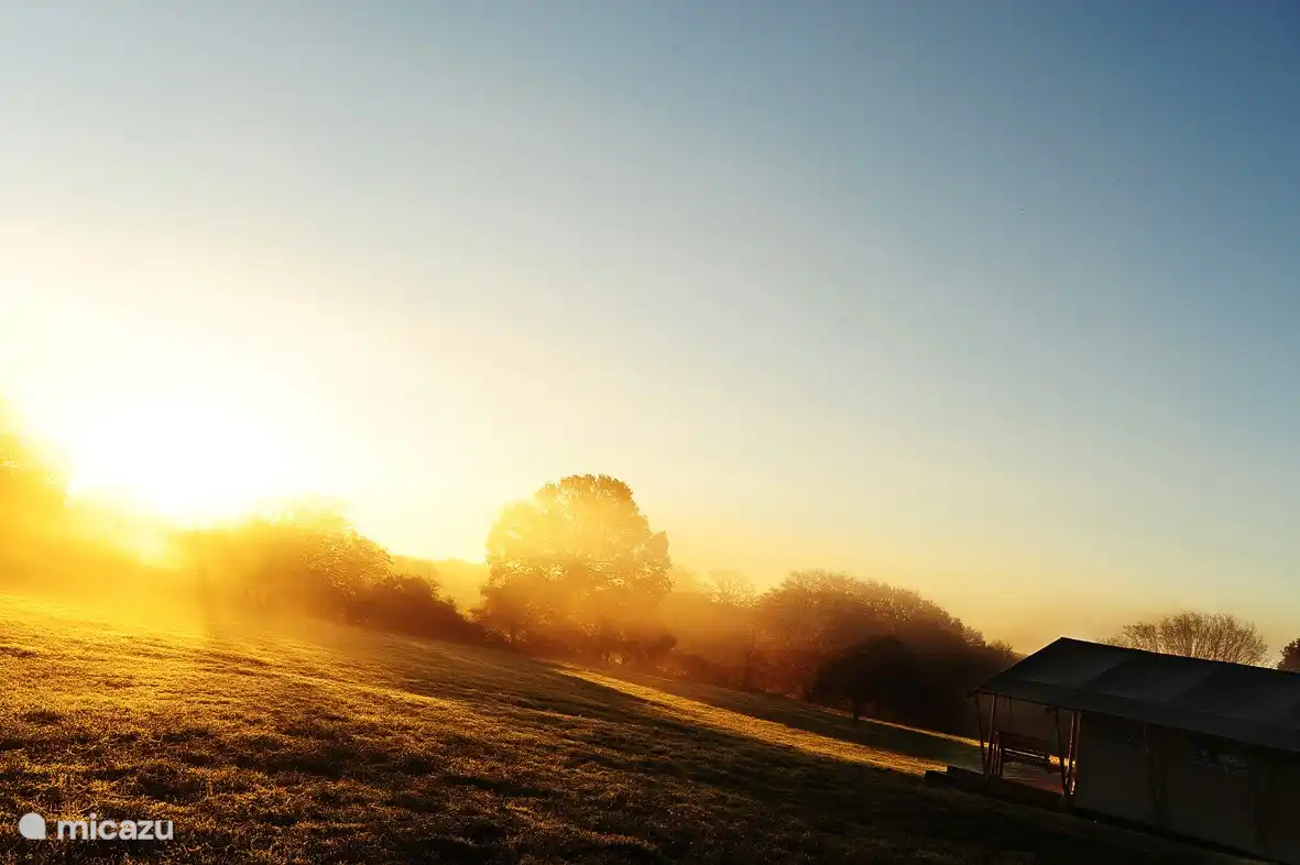 Blick über das Feld