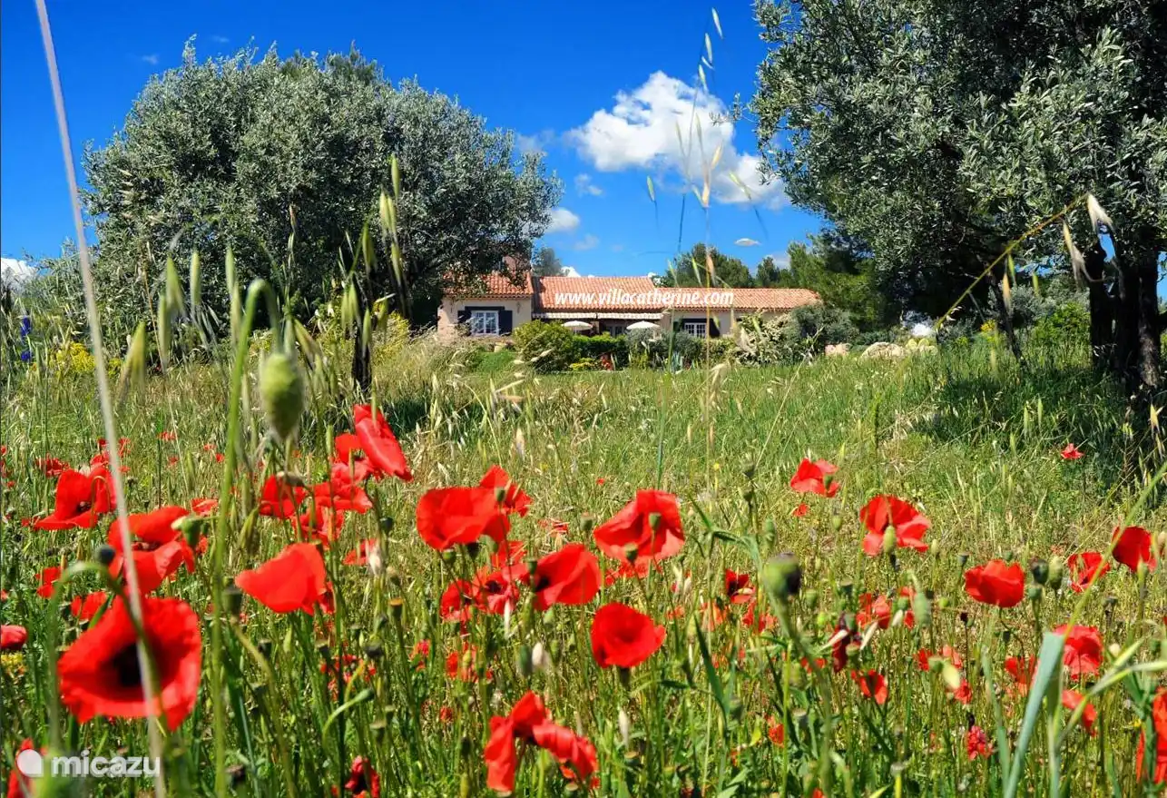 Villa sur 500m de terrain