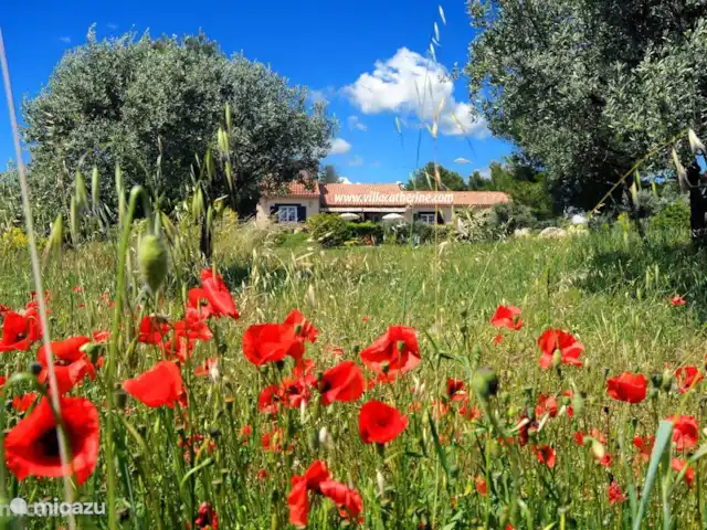 Location de Vacances France, Var, Flayosc, appartement - Résidence Villa Catherine Flayosc Villa sur 500m de terrain