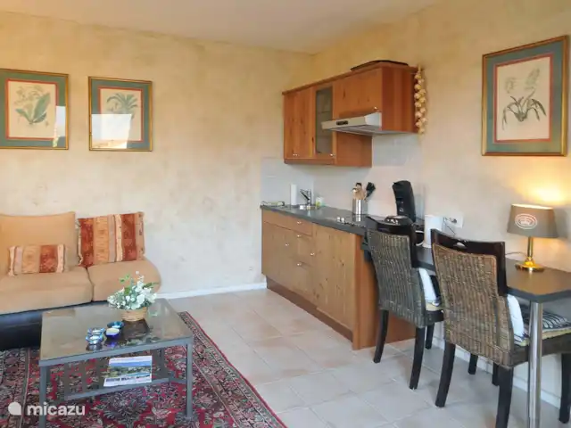 Location de Vacances France, Var, Flayosc, appartement - Résidence Villa Catherine Flayosc Séjour avec kitchenette de l'appartement Ciboulette