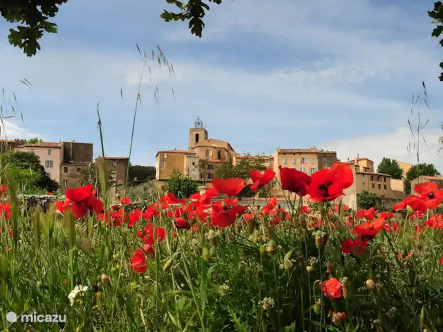 Location de Vacances France, Var, Flayosc, appartement - Résidence Villa Catherine Flayosc Flayosc