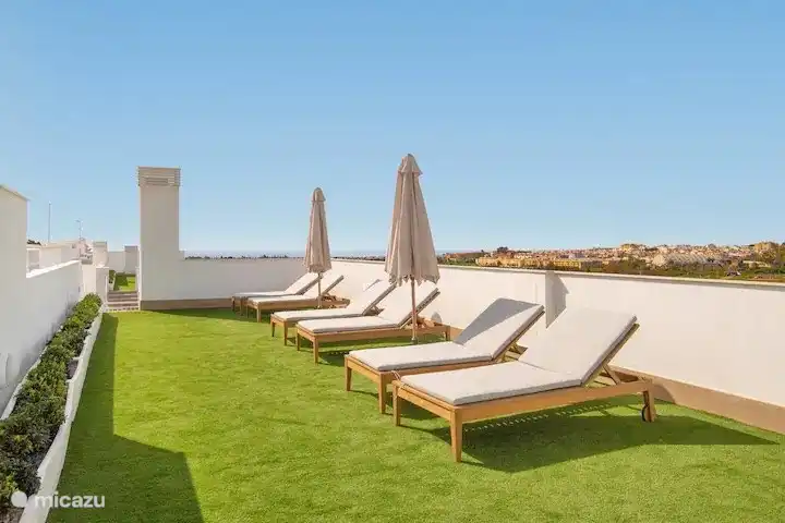 Liegewiese Liegen und Sonnenschirme