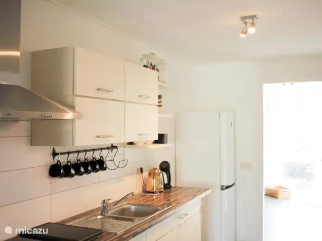 Luxe accommodatie, Nederland, Drenthe, Uffelte, geschakelde woning Holtingerhuys Uffelte/ Giethoorn.