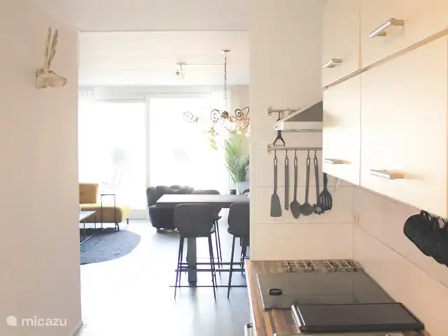 Luxe accommodatie, Nederland, Drenthe, Uffelte, geschakelde woning Holtingerhuys Uffelte/ Giethoorn.