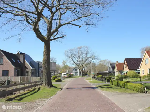 Luxe accommodatie, Nederland, Drenthe, Uffelte, geschakelde woning Holtingerhuys Uffelte/ Giethoorn.