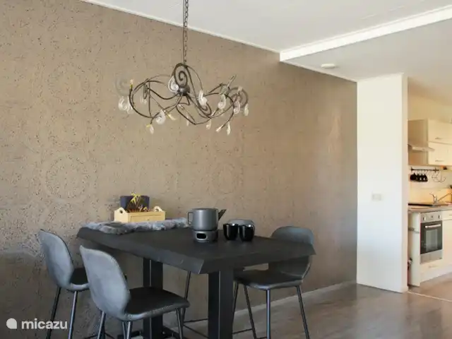 Luxe accommodatie, Nederland, Drenthe, Uffelte, geschakelde woning Holtingerhuys Uffelte/ Giethoorn.