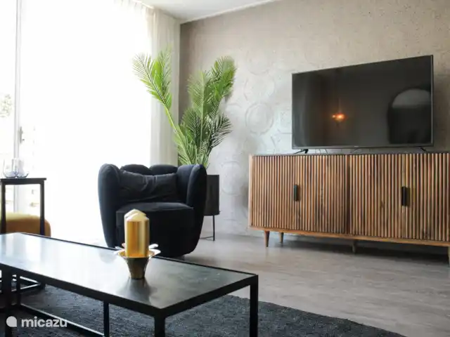 Luxe accommodatie, Nederland, Drenthe, Uffelte, geschakelde woning Holtingerhuys Uffelte/ Giethoorn.