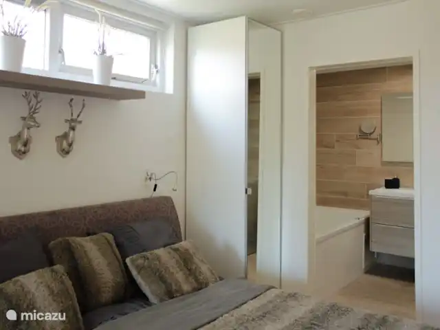 Luxe accommodatie, Nederland, Drenthe, Uffelte, geschakelde woning Holtingerhuys Uffelte/ Giethoorn.