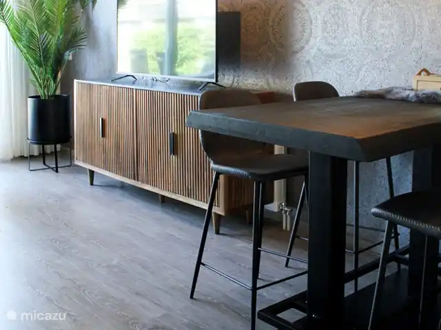 Luxe accommodatie, Nederland, Drenthe, Uffelte, geschakelde woning Holtingerhuys Uffelte/ Giethoorn.