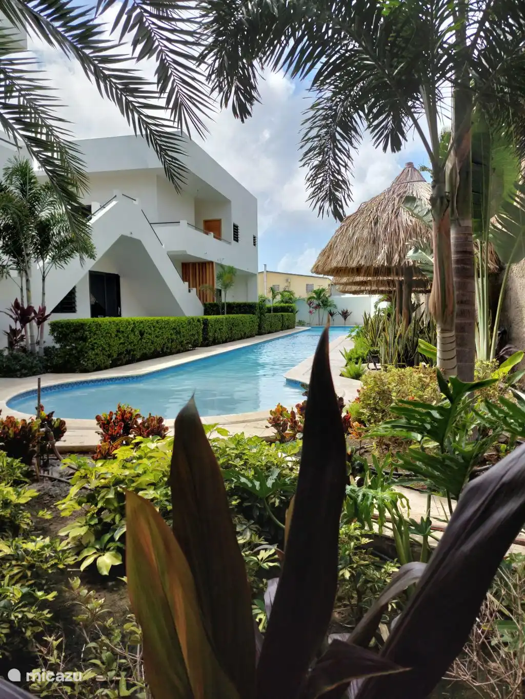 Profitez de cette magnifique piscine de 50 mètres 