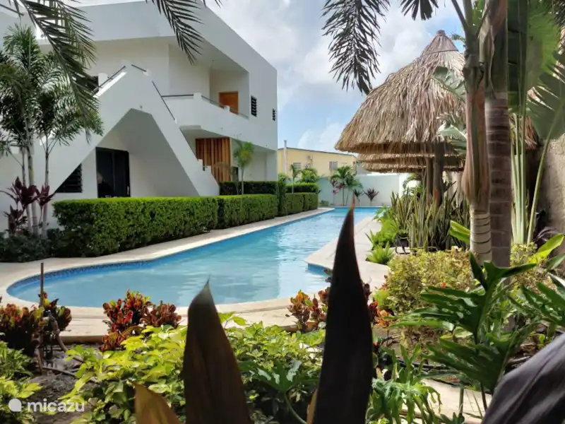 Appt dichtbij Mambo Beach, 2slk  huren in Curaçao, Curacao-Midden, Koraal Partier - Appartement Appt dichtbij Mambo Beach, 2slk  huren in Curaçao, Curacao-Midden, Koraal Partier - Appartement