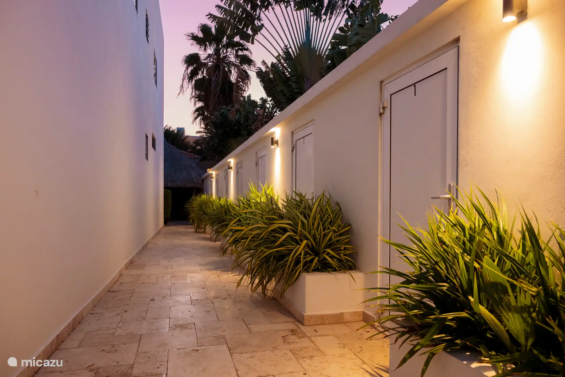 El camino iluminado hacia la piscina