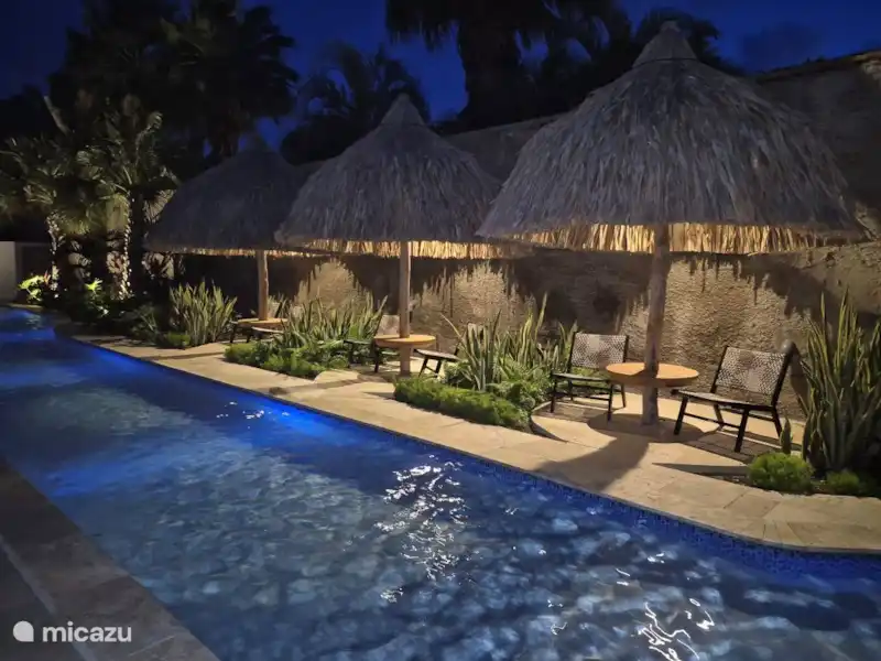 Appt dichtbij Mambo Beach, 2slk  huren in Curaçao, Curacao-Midden, Koraal Partier - Appartement Appt dichtbij Mambo Beach, 2slk  huren in Curaçao, Curacao-Midden, Koraal Partier - Appartement