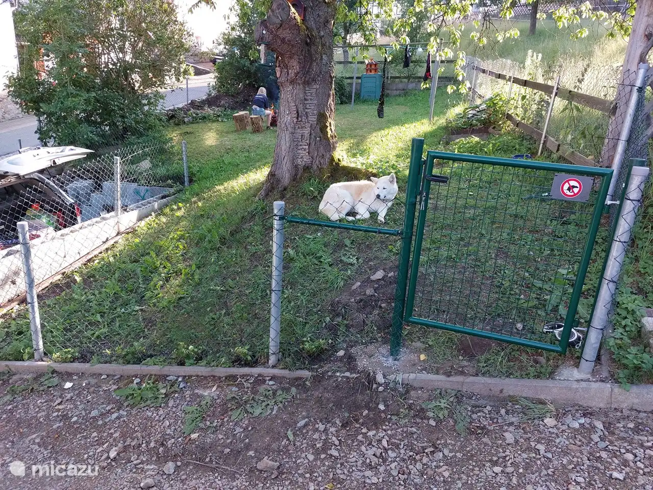 A nice enclosed garden