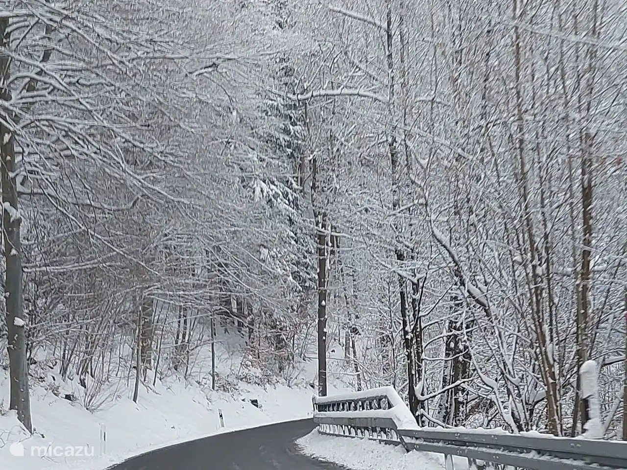 the way to the house.