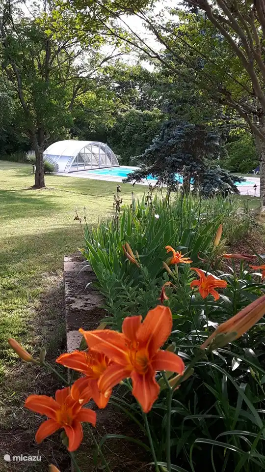 En el jardín siempre puedes encontrar un lugar a la sombra para tu tumbona.