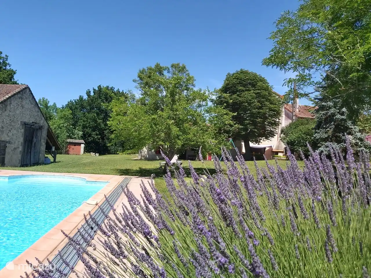 Piscina de agua salada de 10 x 5 metros con ducha exterior.