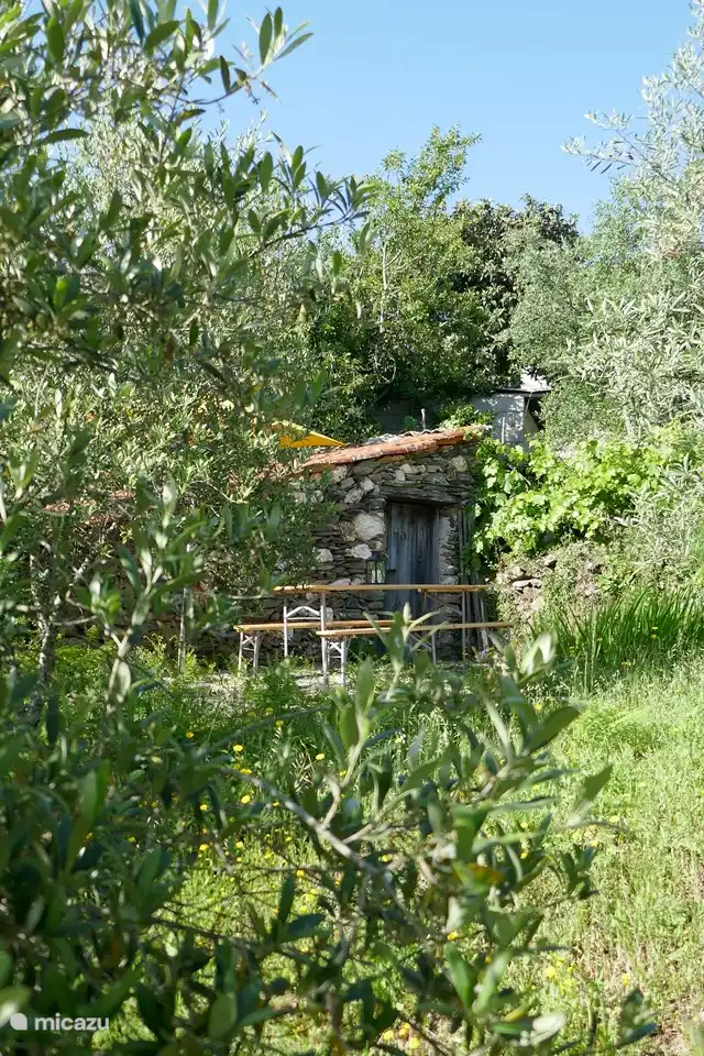 Gemeinsamer Sitzbereich im Olivenhain