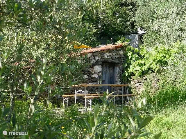 Casa Escola Velha | Portugal, Viseu, Mortágua - maison de vacances Coin salon commun dans l'oliveraie