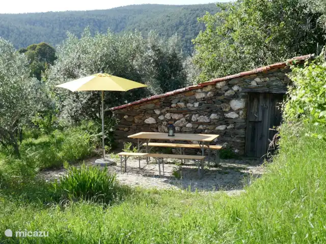 Casa Escola Velha | Portugal, Viseu, Mortágua - maison de vacances Coin salon commun dans l'oliveraie