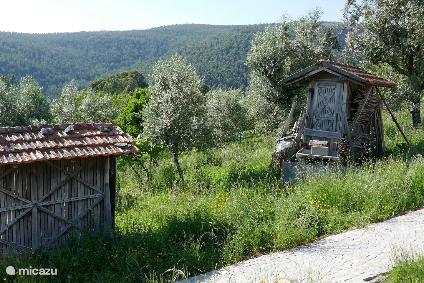 Die traditionellen Espigueiros
