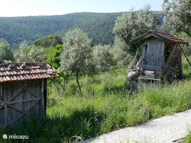 Casa Escola Velha | Portugal, Viseu, Mortágua - maison de vacances Les espigueiros traditionnels