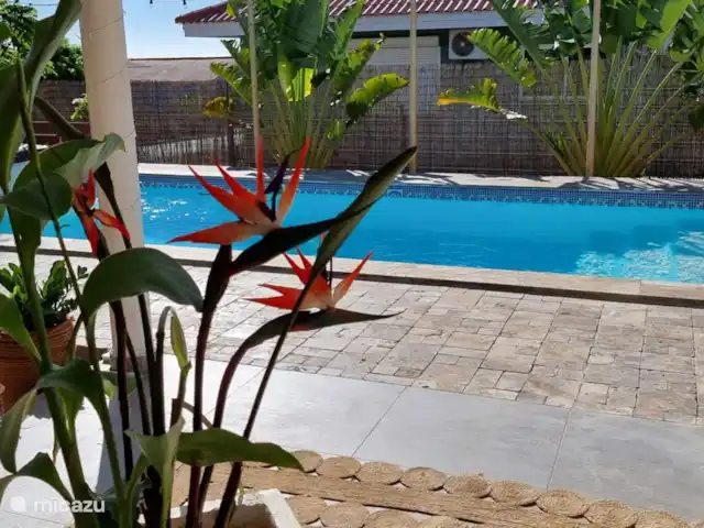 villanueva en Curazao, Bandabou (oeste), Fontein - villa Piscina.