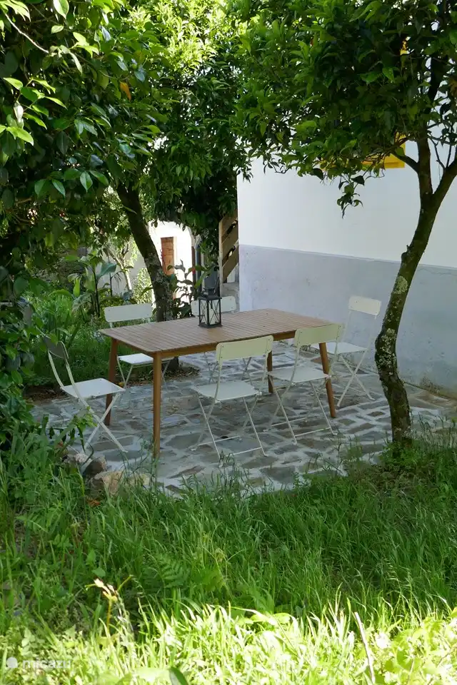 Im Sommer ist es schön kühl im Schatten der Bäume