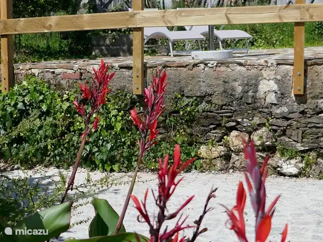 Casa Laranjeira | Portugal, Viseu, Mortágua - maison de vacances Vue de l'ancienne aire de battage du maïs, où se trouvent maintenant des chaises longues confortables
