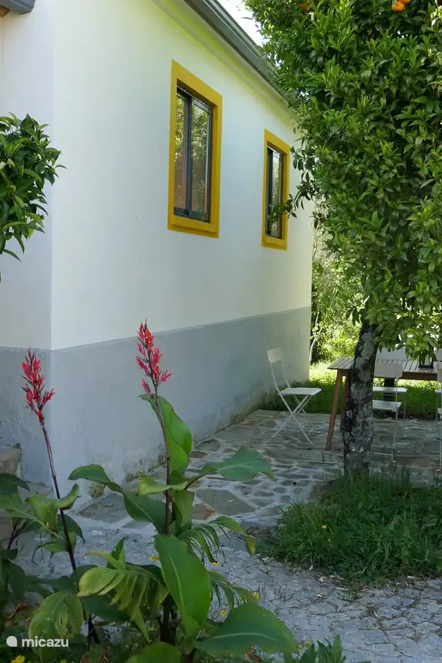 Das Haus vom Garten aus gesehen