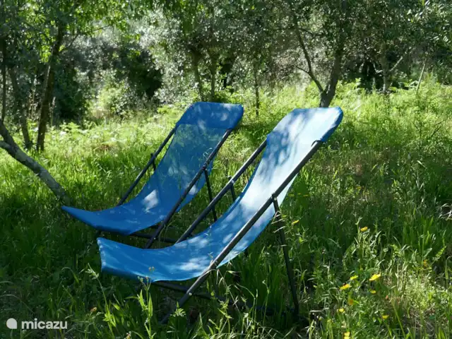 Casa Laranjeira | Portugal, Viseu, Mortágua - maison de vacances Merveilleusement relaxant assis au milieu des oliviers