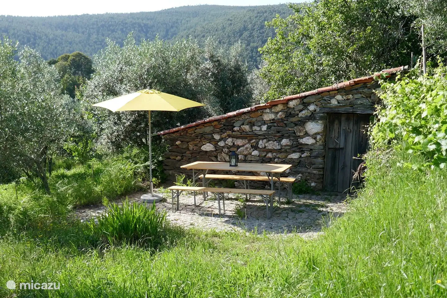 Gemeinsamer Sitzplatz im Olivenhain