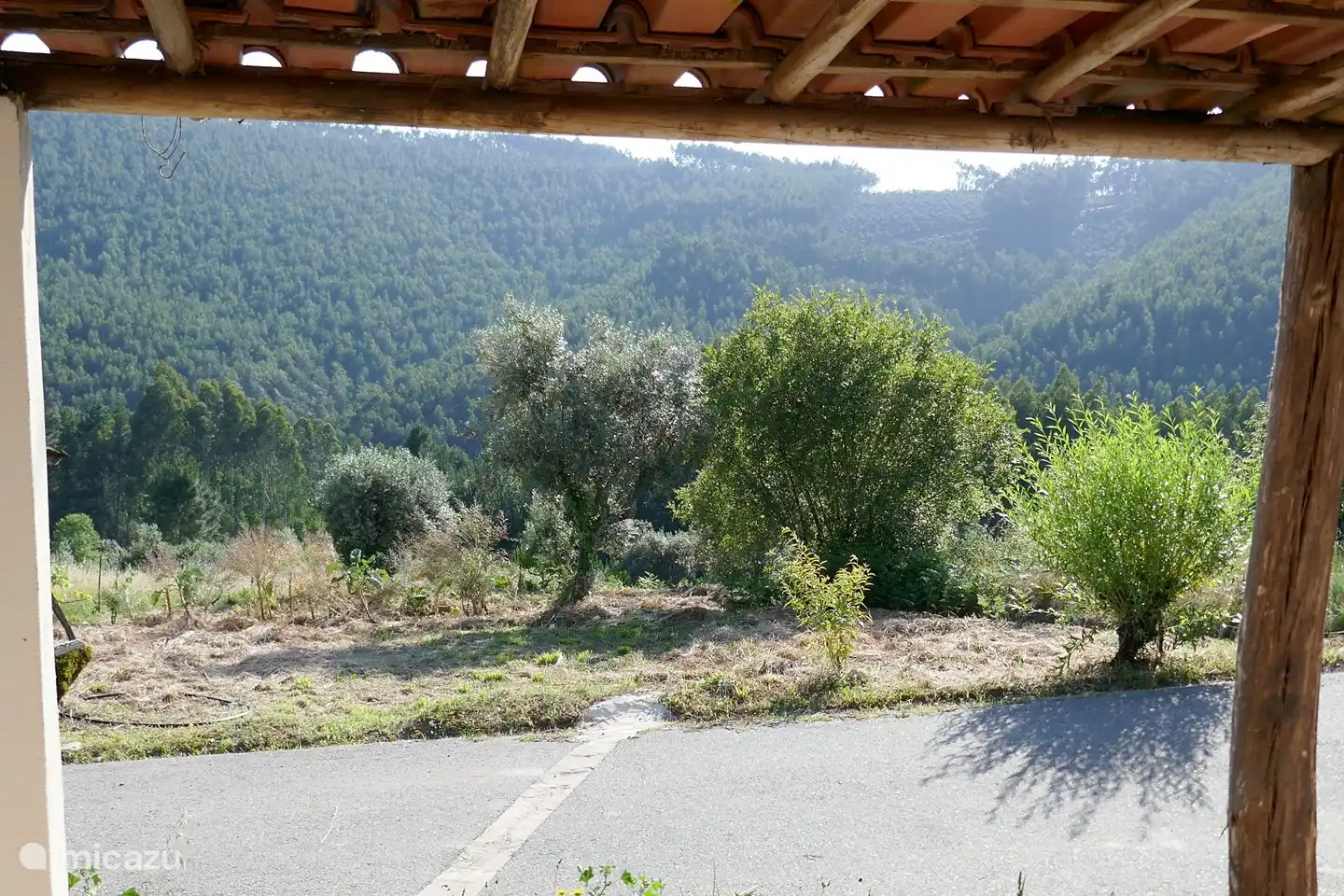 Blick vom Dorfrand auf die Weinreben, Olivenbäume und den Wald