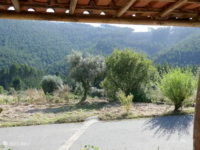 Casa Laranjeira | Portugal, Viseu, Mortágua - maison de vacances Vue depuis le bord du village sur les vignes, les oliviers et les bois